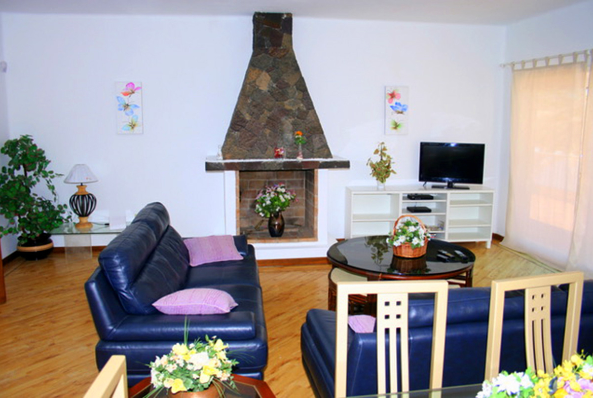 lounge and sofas